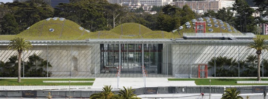 csa_sf