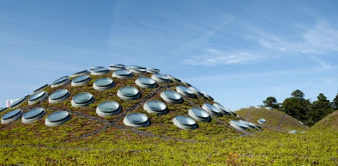 greenroof_csa