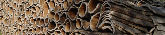 Harvested Cork Oak Tree Bark Pile