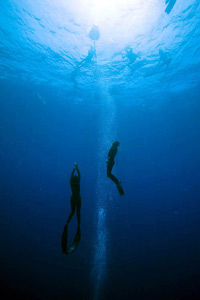 deepest freedive