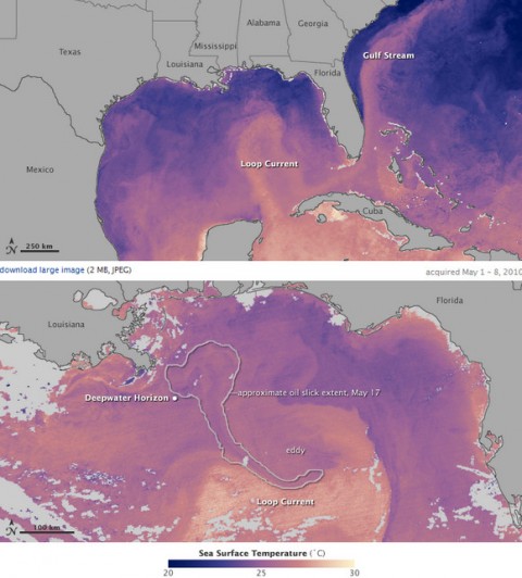 bp-oil-spill-spread gulf oil spread