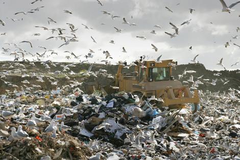 plastic bags in landfill